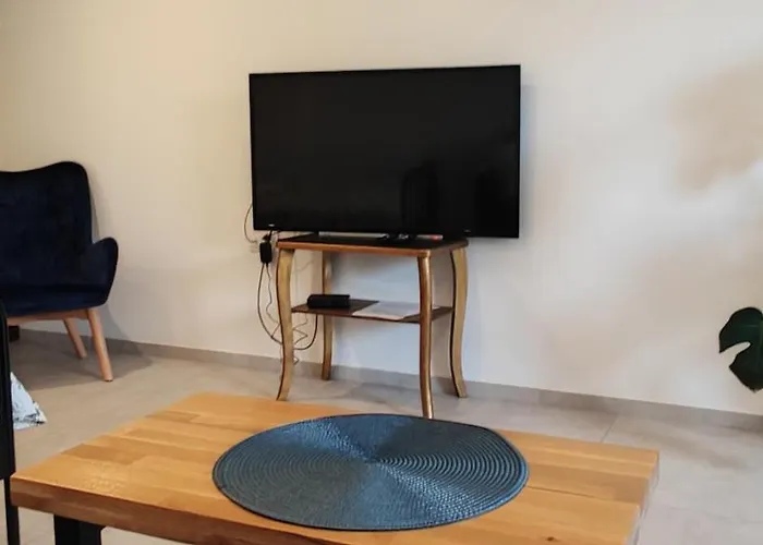Apartament Kopernik