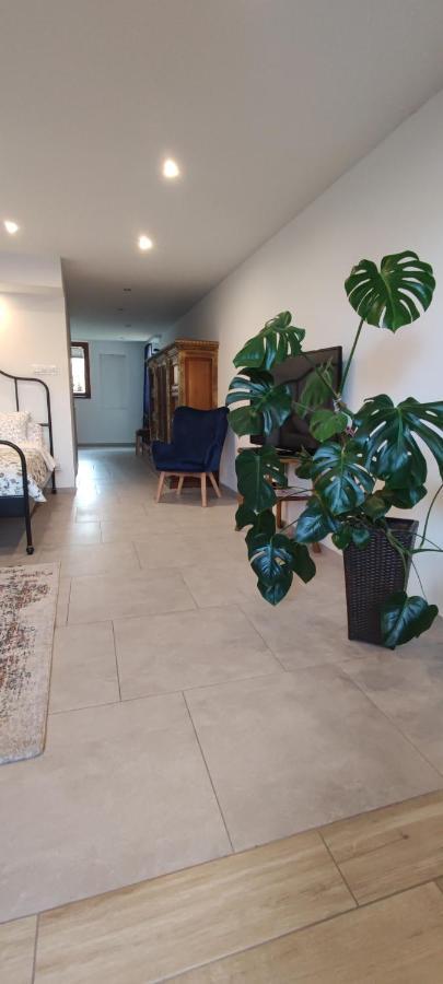 Kopernik Apartment *
